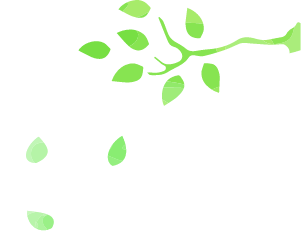 葉っぱのイメージ