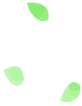 葉っぱのイメージ
